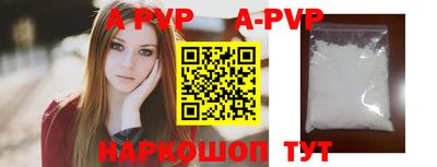 герыч Кингисепп