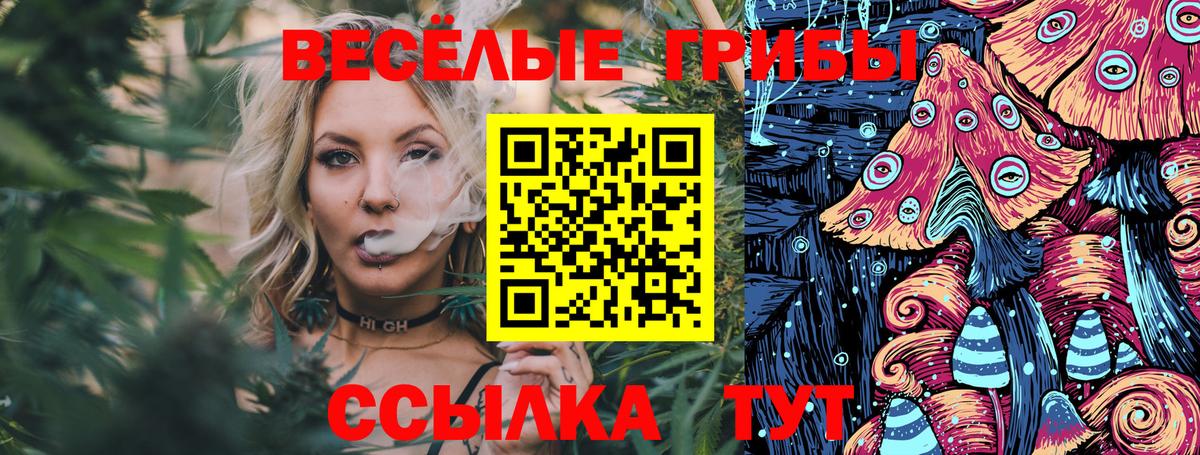 Псилоцибиновые грибы Psilocybe  Вход с VPN  Коркино  Псилоцибиновые грибы Magic Shrooms 
