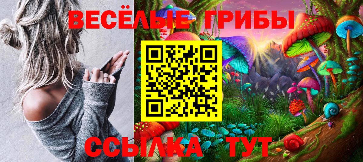 Галлюциногенные грибы GOLDEN TEACHER Коркино